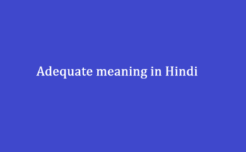 Adequate meaning in Hindi