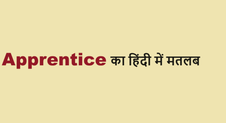 apprentice meaning in hindi