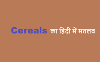 cereals meaning in hindi