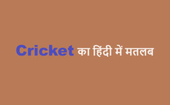 cricket meaning in hindi