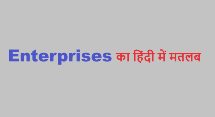 enterprise meaning in hindi