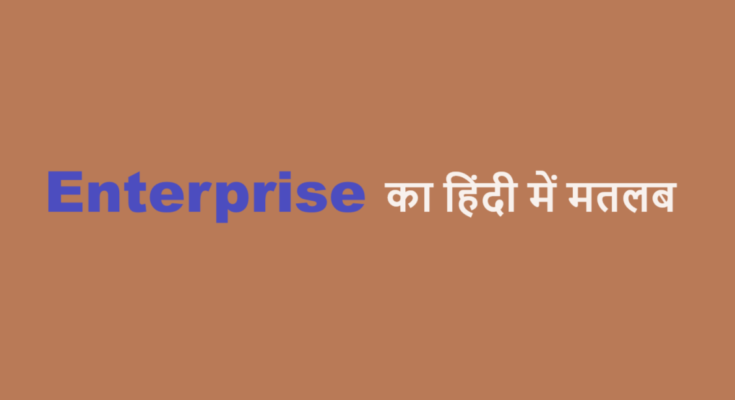 enterprises meaning in hindi