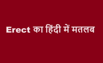 erect meaning in hindi