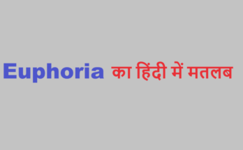 euphoria meaning in hindi