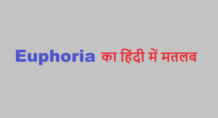 euphoria meaning in hindi