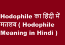 hodophile meaning in hindi