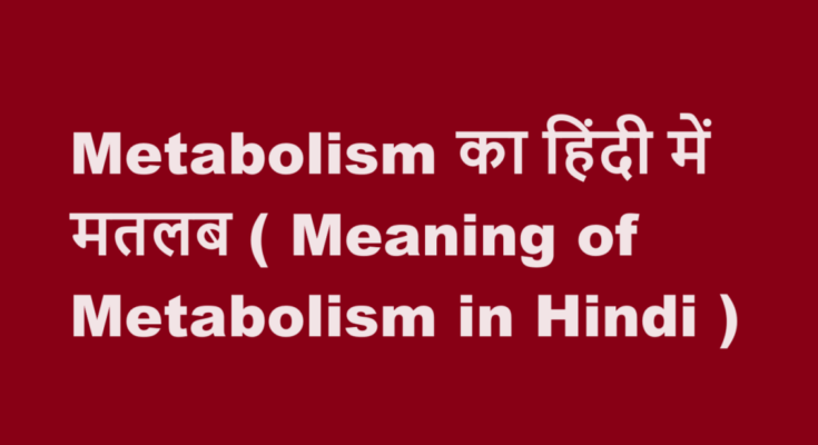 metabolism meaning in hindi