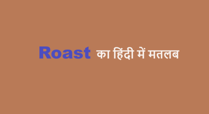 roast meaning in hindi