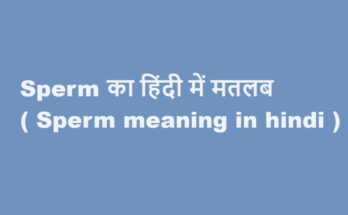 sperm meaning in hindi