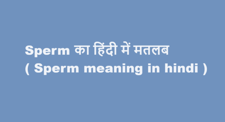 sperm meaning in hindi