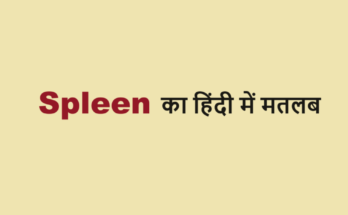 spleen meaning in hindi