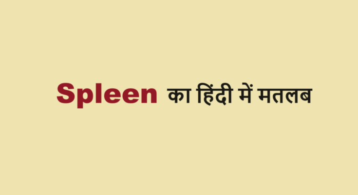 spleen meaning in hindi