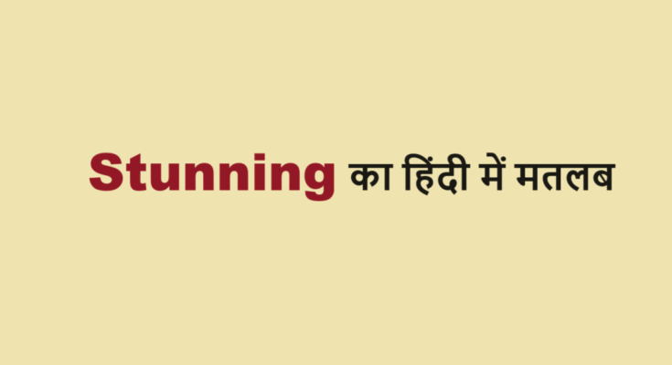 stunning meaning in hindi