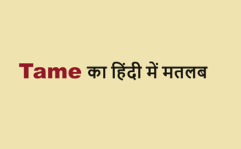 tame meaning in hindi