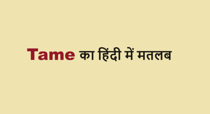 tame meaning in hindi