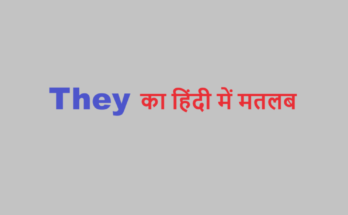 they meaning in hindi