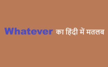 whatever meaning in hindi