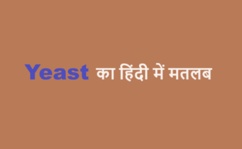 yeast meaning in hindi