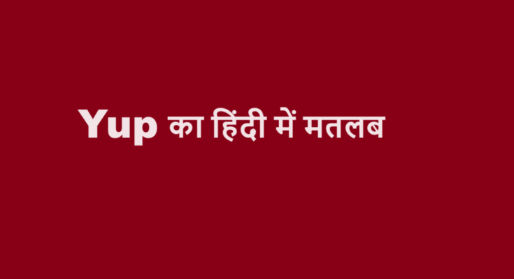 yup meaning in hindi