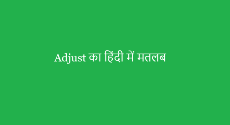 adjust meaning in hindi