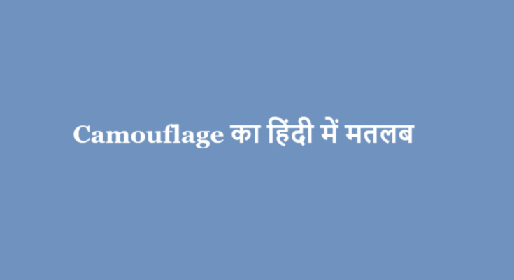camouflage meaning in hindi