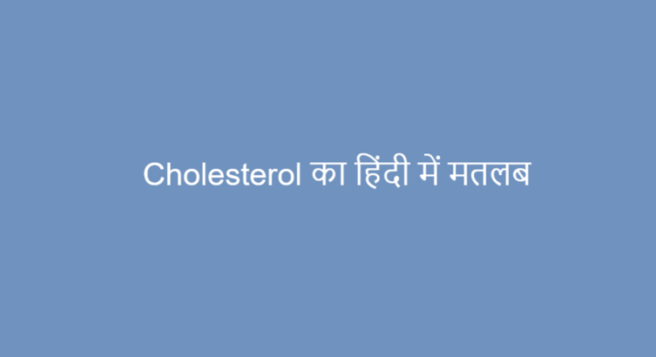 cholesterol meaning in hindi