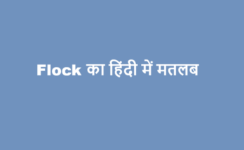 flock meaning in hindi