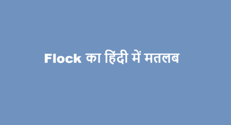 flock meaning in hindi
