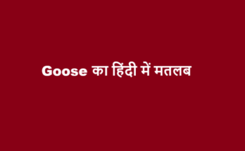 goose meaning in hindi