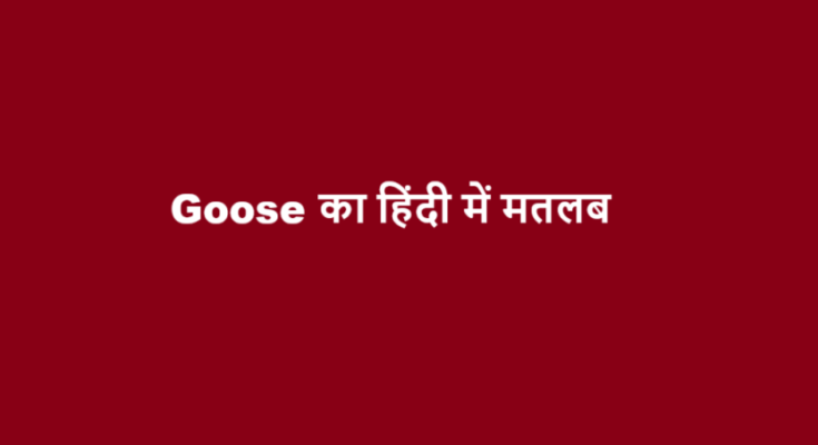 goose meaning in hindi