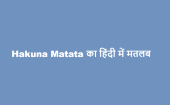 hakuna matata meaning in hindi