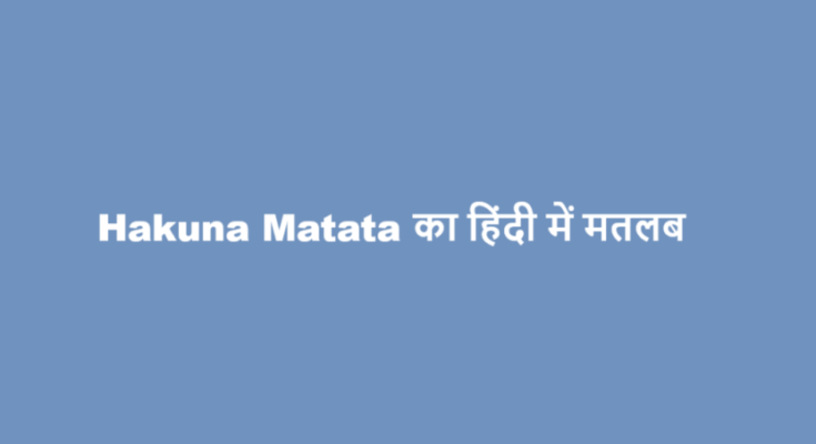 hakuna matata meaning in hindi