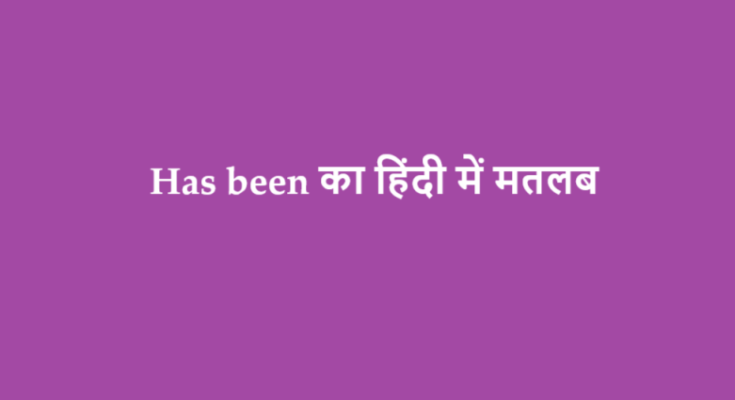 has been meaning in hindi