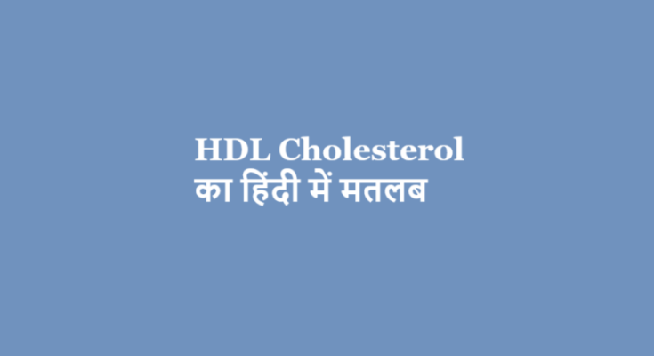 hdl cholesterol meaning in hindi