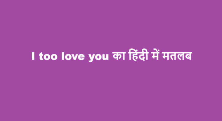 i too love you meaning in hindi