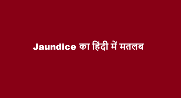jaundice meaning in hindi