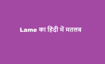 lame meaning in hindi