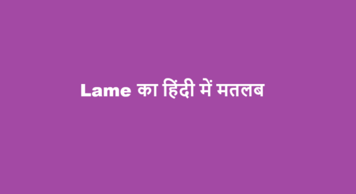 lame meaning in hindi