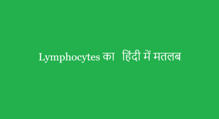 lymphocytes meaning in hindi
