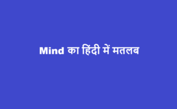 mind meaning in hindi