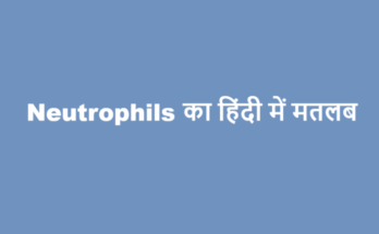 neutrophils meaning in hindi