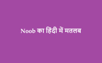 noob meaning in hindi