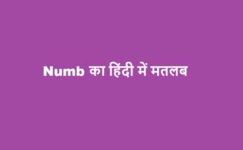 numb meaning in hindi