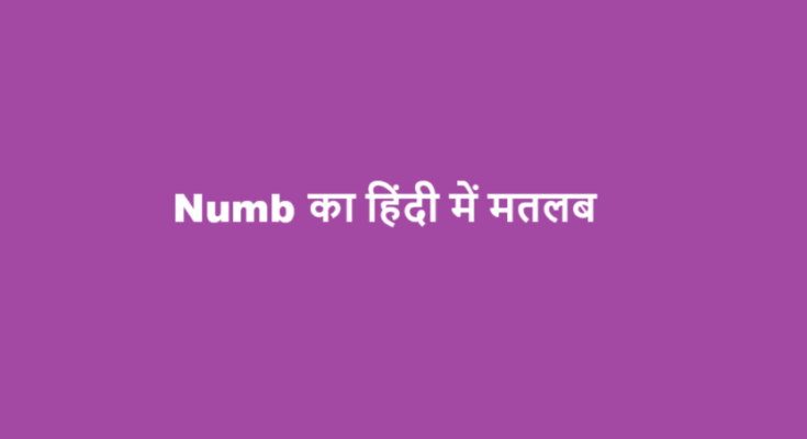 numb meaning in hindi