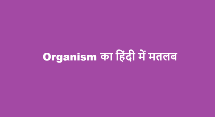 organism meaning in hindi