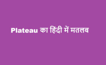 plateau meaning in hindi