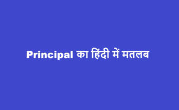 principal meaning in hindi