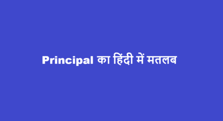 principal meaning in hindi