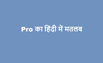 pro meaning in hindi