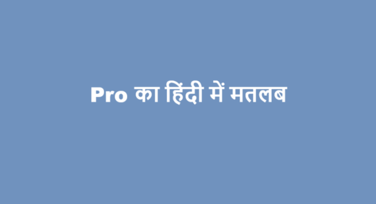 pro meaning in hindi